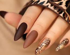 best nail salon in jkacksonville FL