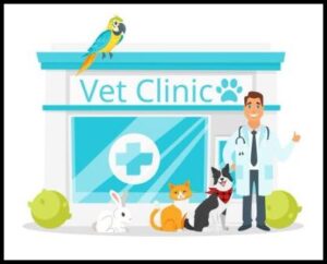 vet clinic